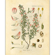 Load image into Gallery viewer, art bedroom decor