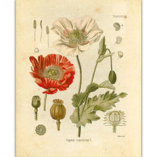 Load image into Gallery viewer, art bedroom decor