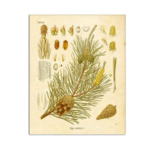 Load image into Gallery viewer, art bedroom decor