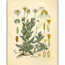 Load image into Gallery viewer, art bedroom decor