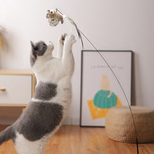 Load image into Gallery viewer, Simulation Bird interactive Cat Toy