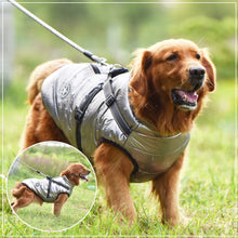 Load image into Gallery viewer, VIP Dog Clothes Jacket