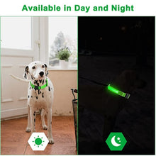 Load image into Gallery viewer, Collar Night Anti-Lost Dog