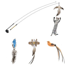 Load image into Gallery viewer, Simulation Bird interactive Cat Toy