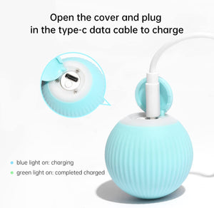 Smart Cat Toys Electric