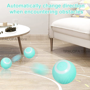 Smart Cat Toys Electric