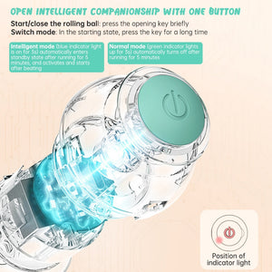 Smart Cat Toys Electric