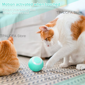 Smart Cat Toys Electric